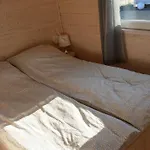Kamien Baltyku
