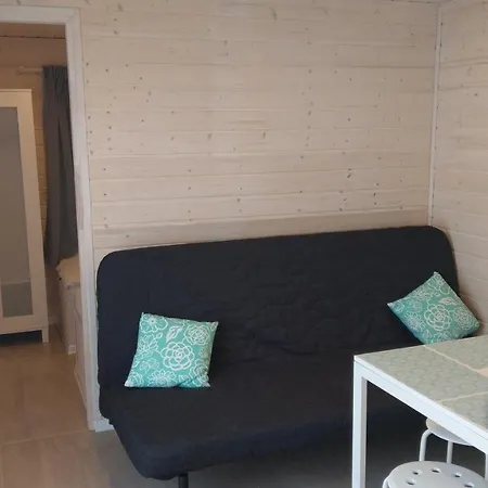 Kamien Baltyku Debina (Ustka)