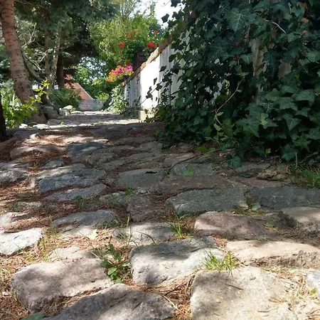 Kamien Baltyku *