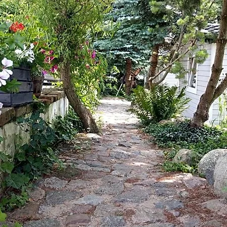 Kamien Baltyku * Debina (Ustka)