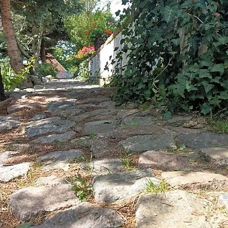Kamien Baltyku Debina (Ustka)