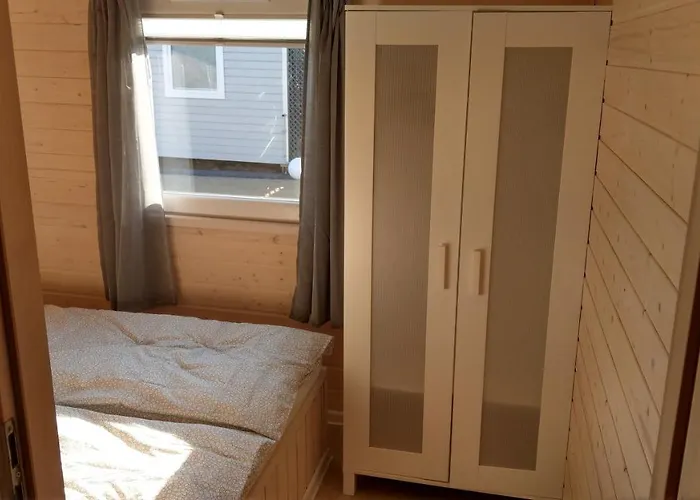 Kamien Baltyku * Debina (Ustka)