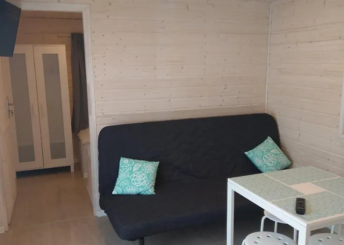 Kamien Baltyku Debina (Ustka)