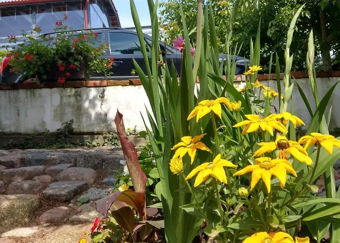 Jaktstuga Kamien Baltyku Debina (Ustka)