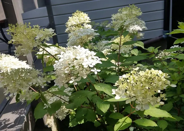 Jaktstuga Kamien Baltyku