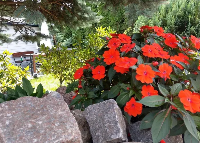 Kamien Baltyku Jaktstuga *