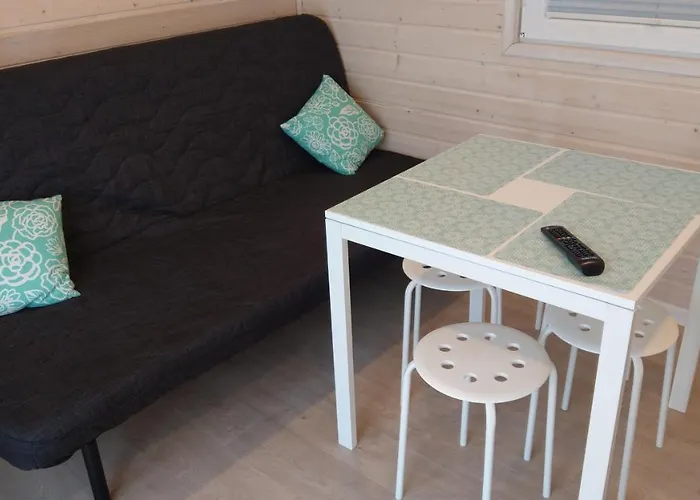 Kamien Baltyku * Debina (Ustka)